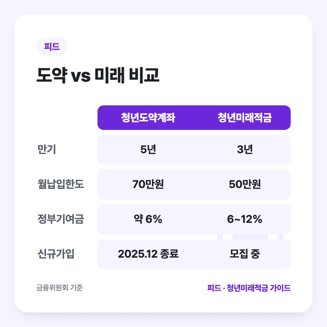 도약 vs 미래 비교: 청년도약계좌 vs 청년미래적금